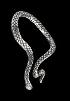 Alchemy Ohrschmuck - Schlange Serpentine