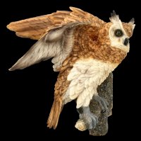 Wall Plaque - Long-Eared Owl sitting on Perch