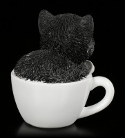Schwarz-Weißes Kätzchen in Tasse - klein