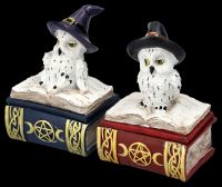Owl Figurines on Magic Book Box Set of 2