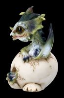 Dragon Figurine - Hatchlings Emergence large - Toby