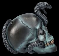 Skull with Snake - Serpentine Fate