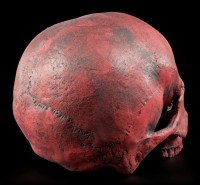 Female Replica Skull - Sagus Carmin Red - Limited Edition