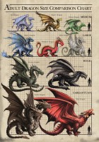Grußkarte - Age Of Dragons - Drachen Größentabelle