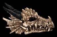 Schatulle - Drachen Totenschädel