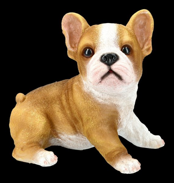 Garden Figurine - Bulldog Puppy
