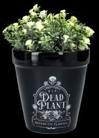 Blumentopf Gothic - Dead Plant