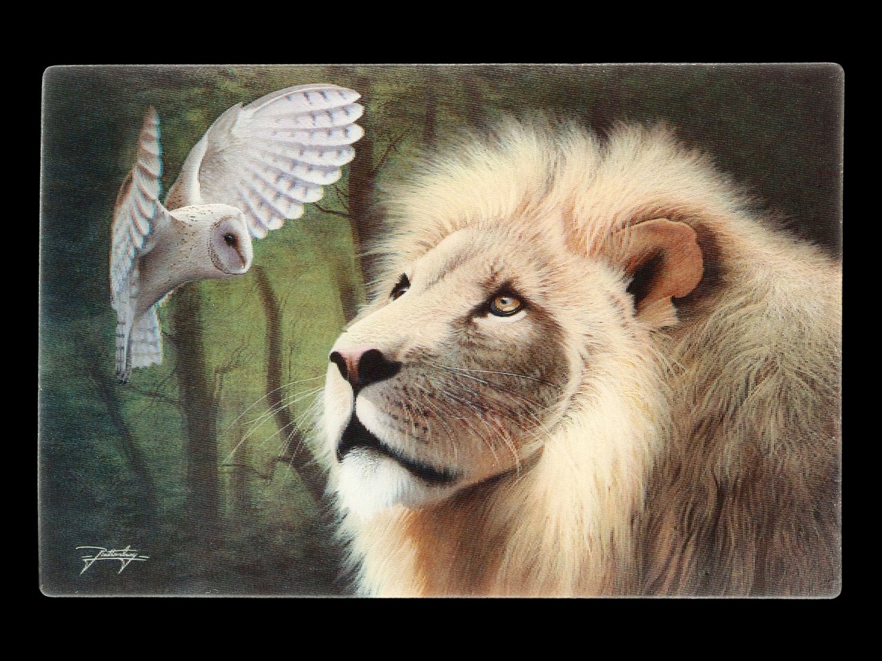 3D Postcard with Owl and Lion - Meeting of the Minds