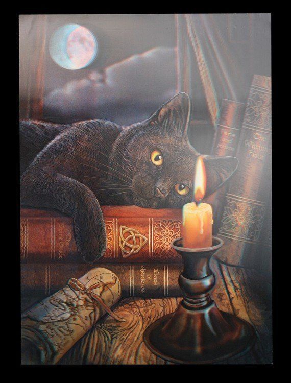 3D Picture Cat - Witching Hour
