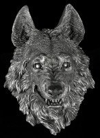 Wolf Head Wall Plaque - The Wild Beast