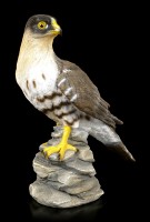 Garden Figurine - Hawk turns Head