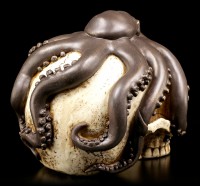 Skull with Octopus