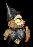Magician Owl - Funny Figurine