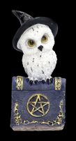 Snowy Owl Figurine with Magic Book - blue