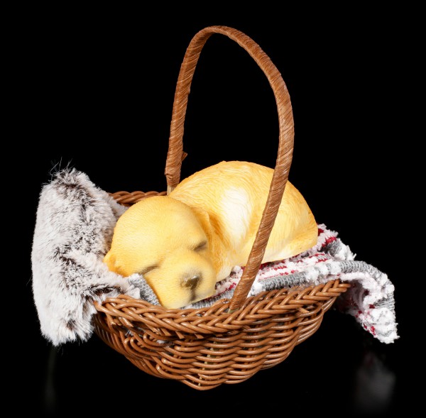 Dog Figurine asleep in a Basket