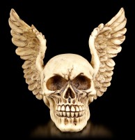 Totenkopf mit Flügeln - Wings of Heaven