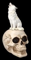 Skull with White Wolf