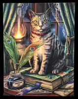 Small Canvas Cat - Book Of Shadows