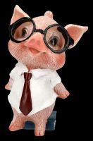 Dekofigur Schwein - Büro Schweinchen 4er Set