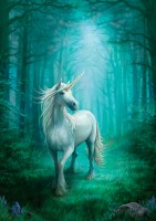 Fantasy Greeting Card - Forest Unicorn