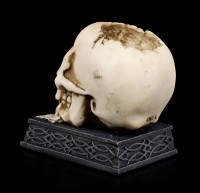 Skull Tealight Holder - Tears of Time
