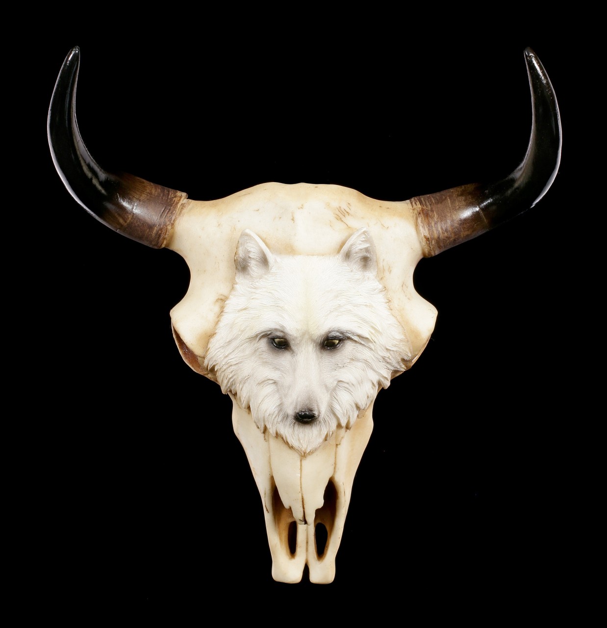 Rinder Bullen Schädel mit Wolfskopf - Native Spirit