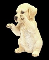 Dog Figurine - Labrador Puppy Begs