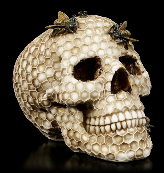Skull with Honeycomb and Bees - Beehive