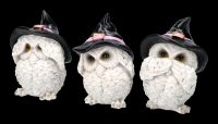 Three Wise Witch Owl Figurines - No Evil