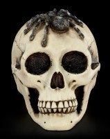 Skull with Spider