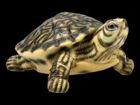 Gelbbauch-Schmuckschildkröte - Figur