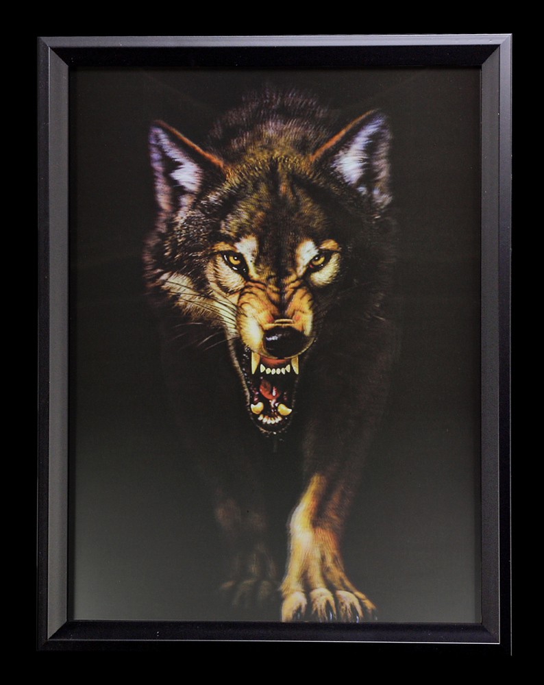 3D-Bild im Rahmen - Wilder Wolf