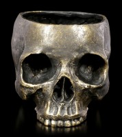 Human Skull Flowerpot