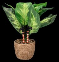 Plant Pot Decoration - Witch&#39;s Legs