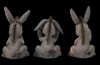 Three Funny Donkey Figurines - No Evil