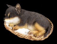 Hund in Körbchen Figur - Chihuahua