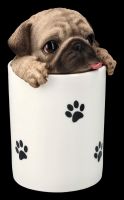 Dog Treat Box - Pug