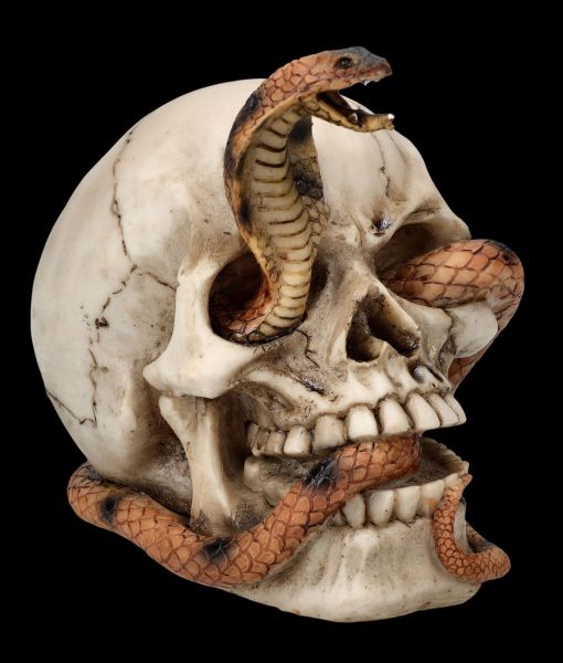 Skull Figurine - Cobra