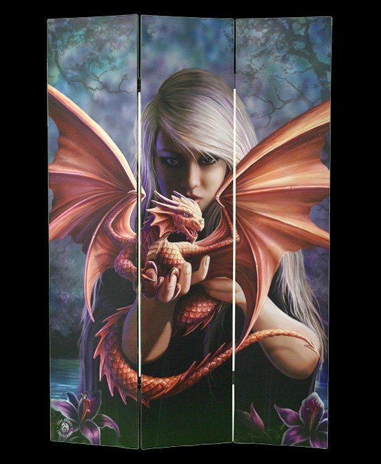 Room Divider - Dragonkin by Anne Stokes