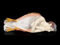 Harpyie Figur - Fallen Harpy
