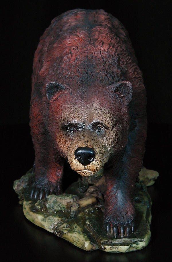 Grizzly Bär gehend