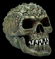 Skull - Gatorhead