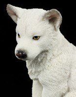 White Wolf Puppy sitting