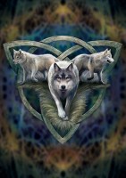 Greeting Card - Wolf Trio