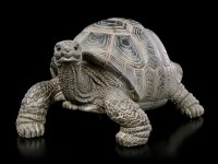 Land-Schildkröten Figur - klein