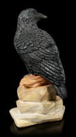 Raven Figurine on Rock