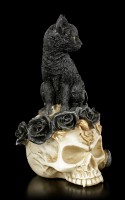 Alchemy Cat on Skull