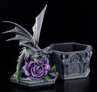 Dragon Beauty Box - Anne Stokes