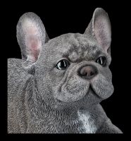 Französische Bulldogge Welpe Figur liegend grau