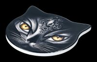 Alchemy Coaster Cat Head - Scared Cat